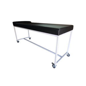 Camilla Clinico - con ruedas